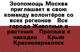 Зоопомощь.Москва приглашает в свою команду волонтёров со всех регионов - Все города Животные и растения » Пропажи и находки   . Крым,Красноперекопск